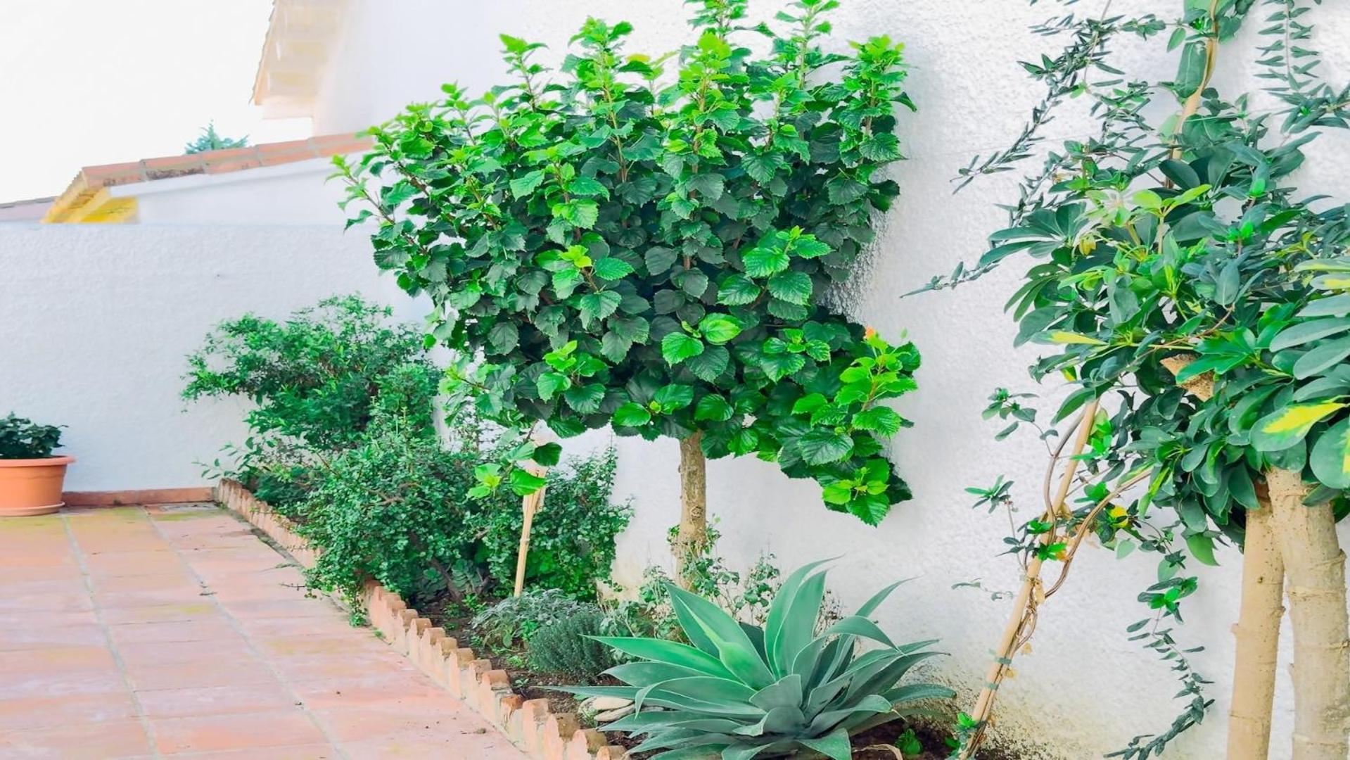 Vivienda Con Encanto Goya Nº4 Benalmádena Exteriör bild